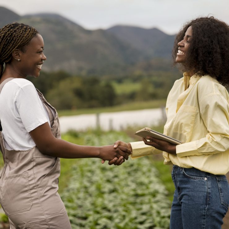 women-shaking-hands-side-view